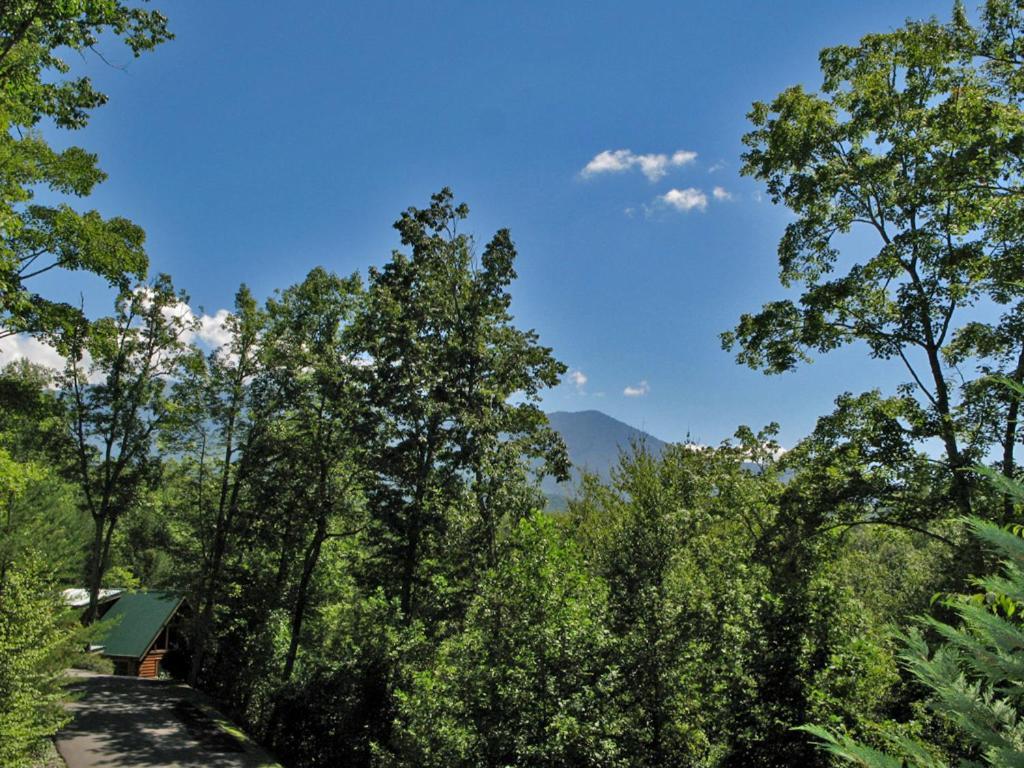 Bear'S Corner, 3 Bedrooms, Wifi, Pool Table, Hot Tub, Wifi, Sleeps 10 Gatlinburg Exteriör bild